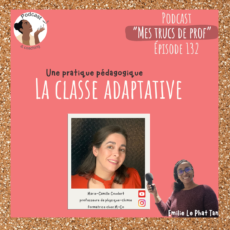 Ép. 132 : La classe adaptative (avec Marie-Camille Coudert)